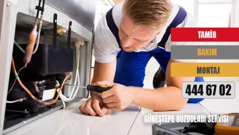 Güneştepe Buzdolabı Servisi